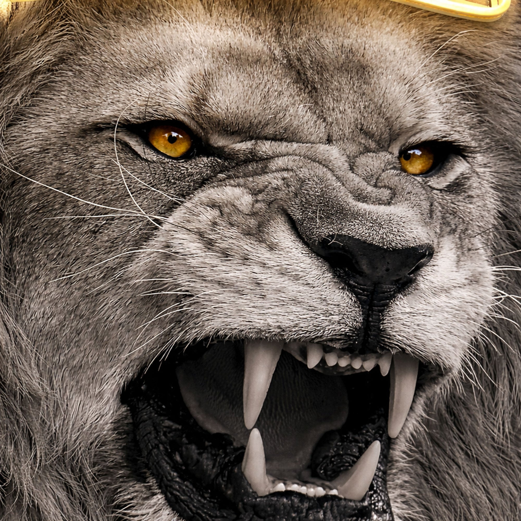 Lion Crown Neon Wall Art – Black & White Design